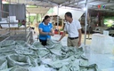 Chương trình OCOP thúc đẩy phát triển kinh tế  nông thôn