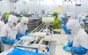 Xuất khẩu thủy sản năm 2026 có thể vượt 12 tỷ USD