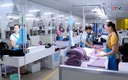 Hợp nhất quy định về cấp giấy chứng nhận xuất xứ hàng hóa 