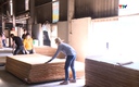 Xuất khẩu nông, lâm, thủy sản tăng tốc, hướng tới mốc 74 tỷ USD