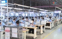 Doanh nghiệp ứng phó với cước vận tải biển tăng  cao