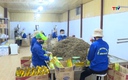 Linh hoạt thích ứng thị trường để phát triển tiểu thủ công nghiệp