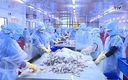 Giá trị hàng hóa thủy sản xuất khẩu đạt hơn 44,6 triệu USD