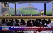 Bản tin Thời sự trưa 25/10/2024