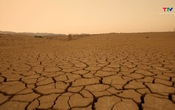 Thiếu nhi: Tại sao sa mạc lại khô cằn