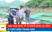Hiệu quả kinh tế từ nghề nuôi cá lồng ở thủy điện Trung Sơn