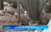 Bản tin Nông nghiệp nông thôn ngày 15/10/2025