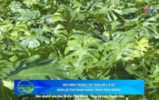 Bản tin Nông nghiệp nông thôn ngày 22/10/2025