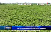 Bản tin Thời sự trưa 8/10/2025