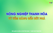 Phim tài liệu “Thanh Hóa - Hòa nhịp cùng đất nước”. Tập 1