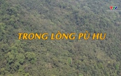 Ký sự: Trong lòng Pù Hu