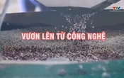 Phóng sự: Vươn lên từ công nghệ