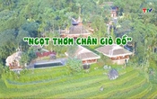 Food tour Thanh Hóa: "Ngọt thơm chân giò đồ"