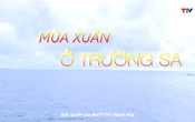 Ký sự: Mùa xuân ở Trường Sa