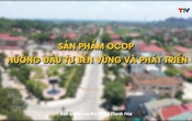 Ký sự: Sản phẩm OCOP - hướng đầu tư bền vững và phát triển