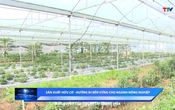 Khoa học và Đời sống 17/3/2025