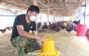 Bản tin nông nghiệp ngày 14/5/2025