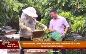 Thanh Hóa ngày mới ngày 17/5/2025