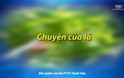 Ký sự miền sơn cước: Chuyện của lá