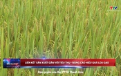 Bản tin Thời sự 18h ngày 24/5/2025