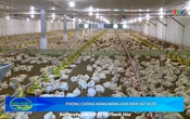Bản tin Nông nghiệp nông thôn ngày 24/5/2025