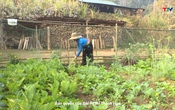 Tạp chí Dân tộc miền núi 25/5/2025