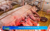 Bản tin Nông nghiệp – Nông thôn ngày 28/5/2025