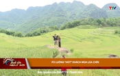 Thanh Hóa ngày mới ngày 31/5/2025