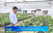 Bản tin Nông nghiệp - nông thôn ngày 31/5/2025
