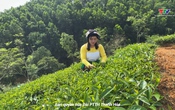 Ký sự miền sơn cước ngày 30/5/2025