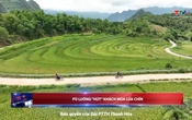 Bản tin Thời sự 18h ngày 31/5/2025