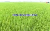  Khuyến nông 6/5/2025
