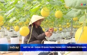 Bản tin Thời sự 16h ngày 1/6/2025