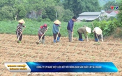 Bản tin Doanh nghiệp - Doanh nhân ngày 11/6/2025