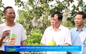 Bản tin Nông nghiệp nông thôn ngày 11/6/2025