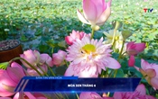 Bản tin Văn hóa ngày 11/6/2025