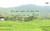 Văn hóa – Nghệ thuật ngày 11/6/2025