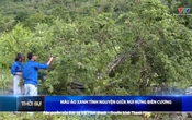 Bản tin Thời sự 9h ngày 12/6/2025