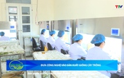 Bản tin Nông nghiệp – Nông thôn 14/6/2025