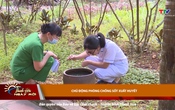 Thanh Hóa ngày mới ngày 15/6/2025