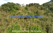 Ký sự miền sơn cước: Nơi chênh vênh sinh kế