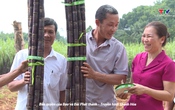 Tạp chí Dân tộc miền núi ngày 15/6/2025