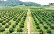 Bản tin Thời sự 16h ngày 16/6/2025