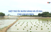 Khuyến nông 17/6/2025