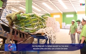 Bản tin Tài chính - Thị trường 20/6/2025