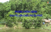 Khuyến nông 20/6/2025