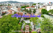 Thanh Hóa - Góc nhìn từ trên cao: Mái chùa hồn cổ