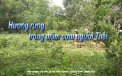Sắc màu các dân tộc xứ Thanh: Hương rừng trong mâm cơm người Thái