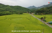 Thanh Hóa - Góc nhìn từ trên cao: Hương quê