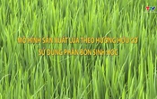 Khuyến nông 1/7/2025